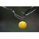 Korda Kickers D Rig Marrón XL